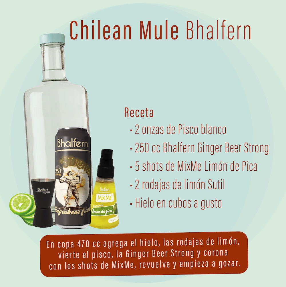 Chilean Mule Bhalfern