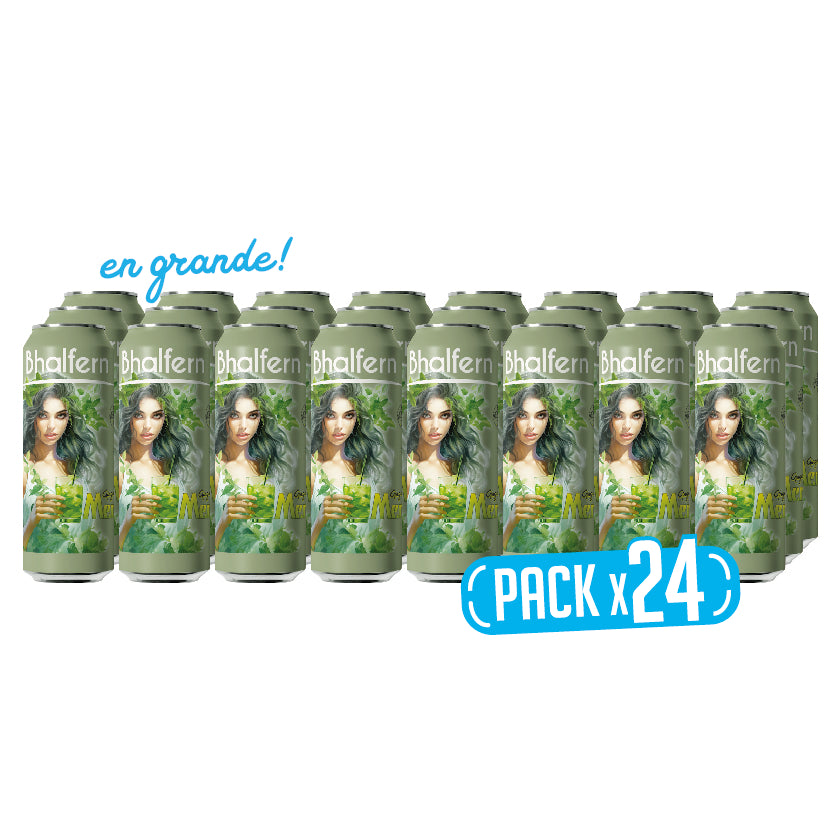 SuperPack x 24 latas de Bhalfern Ginger Beer Menta