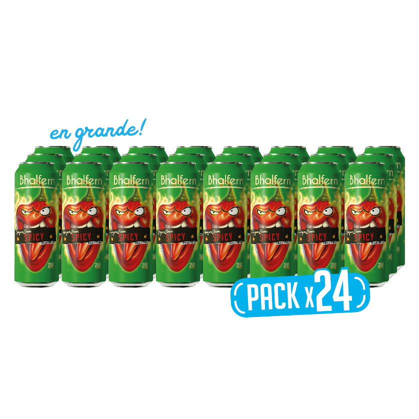 SuperPack x 24 latas Bhalfern Ginger Beer Spicy